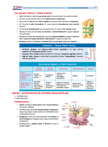 TUS Şampiyonların Notu ( 22.Baskı ) Fizyoloji