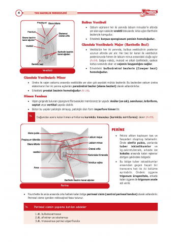 TUS Şampiyonların Notu ( 22.Baskı ) Kadın Doğum