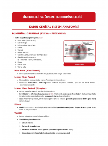 TUS Şampiyonların Notu ( 22.Baskı ) Kadın Doğum