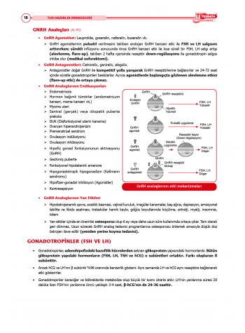 TUS Şampiyonların Notu ( 22.Baskı ) Kadın Doğum
