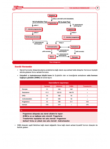 TUS Şampiyonların Notu ( 22.Baskı ) Kadın Doğum
