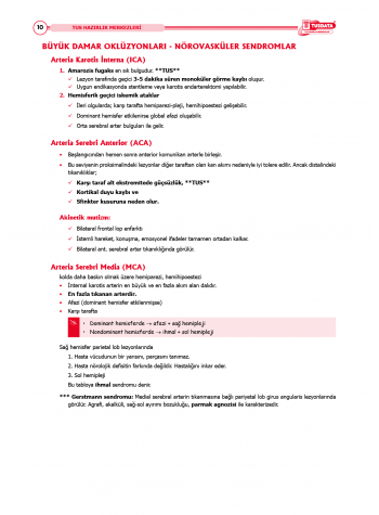 TUS Şampiyonların Notu ( 22.Baskı ) Küçük Stajlar