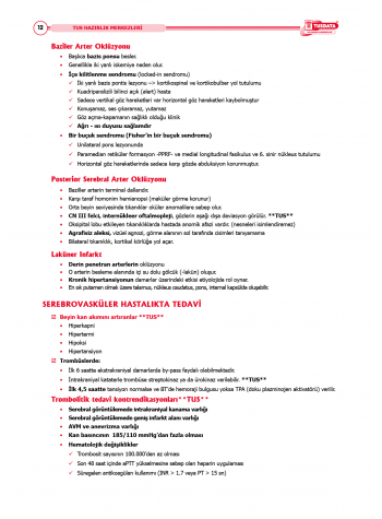 TUS Şampiyonların Notu ( 22.Baskı ) Küçük Stajlar