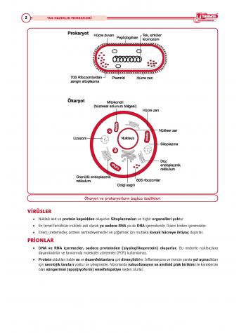 2025 - TUS Şampiyonların Notu Mikrobiyoloji / 21.Baskı