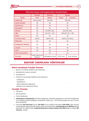 2025 - TUS Şampiyonların Notu Mikrobiyoloji / 21.Baskı