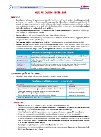 2025 - TUS Şampiyonların Notu Patoloji / 21.Baskı