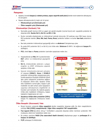 TUS Şampiyonların Notu ( 22.Baskı ) Patoloji