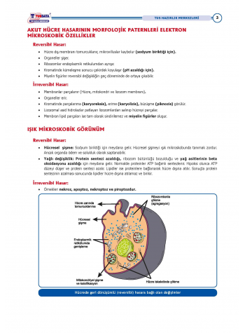 TUS Şampiyonların Notu ( 22.Baskı ) Patoloji