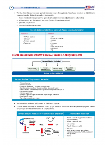 TUS Şampiyonların Notu ( 22.Baskı ) Patoloji