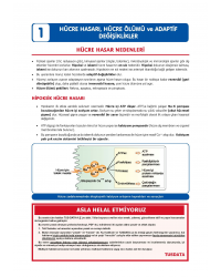 TUS Şampiyonların Notu ( 22.Baskı ) Patoloji