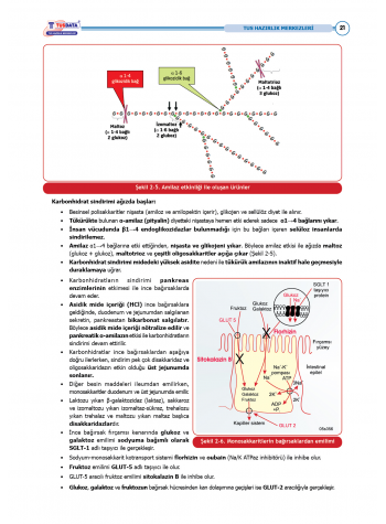 TUS Şampiyonların Notu ( 22.Baskı ) Biyokimya