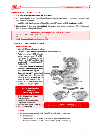 TUS Şampiyonların Notu ( 22.Baskı ) Dahiliye