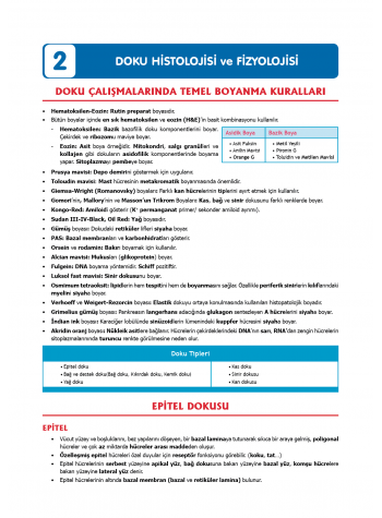 TUS Şampiyonların Notu ( 22.Baskı ) Fizyoloji