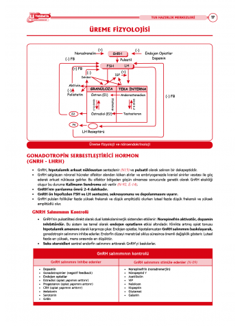 TUS Şampiyonların Notu ( 22.Baskı ) Kadın Doğum