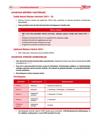 TUS Şampiyonların Notu ( 22.Baskı ) Kadın Doğum