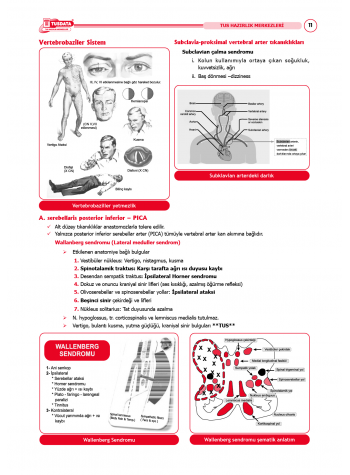 TUS Şampiyonların Notu ( 22.Baskı ) Küçük Stajlar