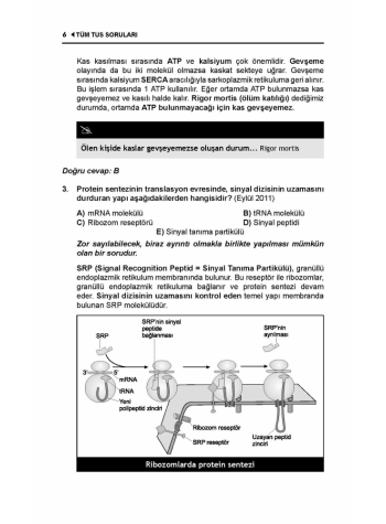 OPTİMUM SORULARI ( 6.Baskı ) FİZYOLOJİ