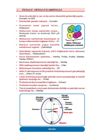 OPTİMUM REVİEW ( 8.Baskı ) FİZYOLOJİ