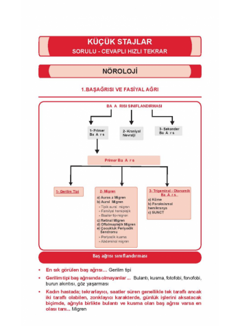 OPTİMUM REVİEW ( 8.Baskı ) KÜÇÜK STAJLAR