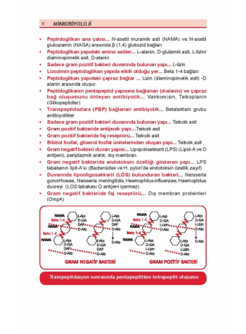 OPTİMUM REVİEW ( 8.Baskı ) MİKROBİYOLOJİ