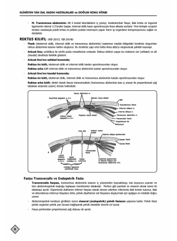 YDUS KONU KİTABI ( 3.BASKI ) K.DOĞUM / 1.2.Cilt