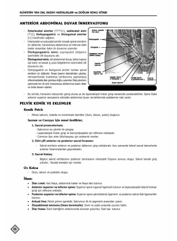 YDUS KONU KİTABI ( 3.BASKI ) K.DOĞUM / 1.2.Cilt