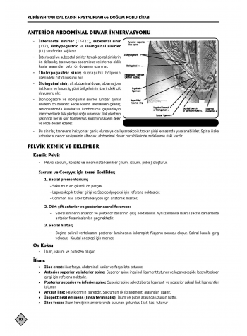 YDUS Konu Kitabı ( 4.Baskı ) Kadın Doğum / 1.2.Cilt