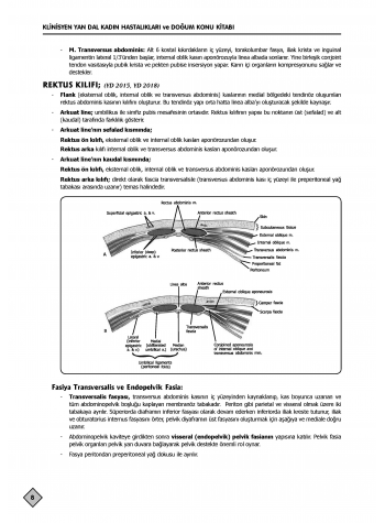 YDUS Konu Kitabı ( 4.Baskı ) Kadın Doğum / 1.2.Cilt