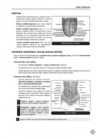 YDUS Konu Kitabı ( 4.Baskı ) Kadın Doğum / 1.2.Cilt